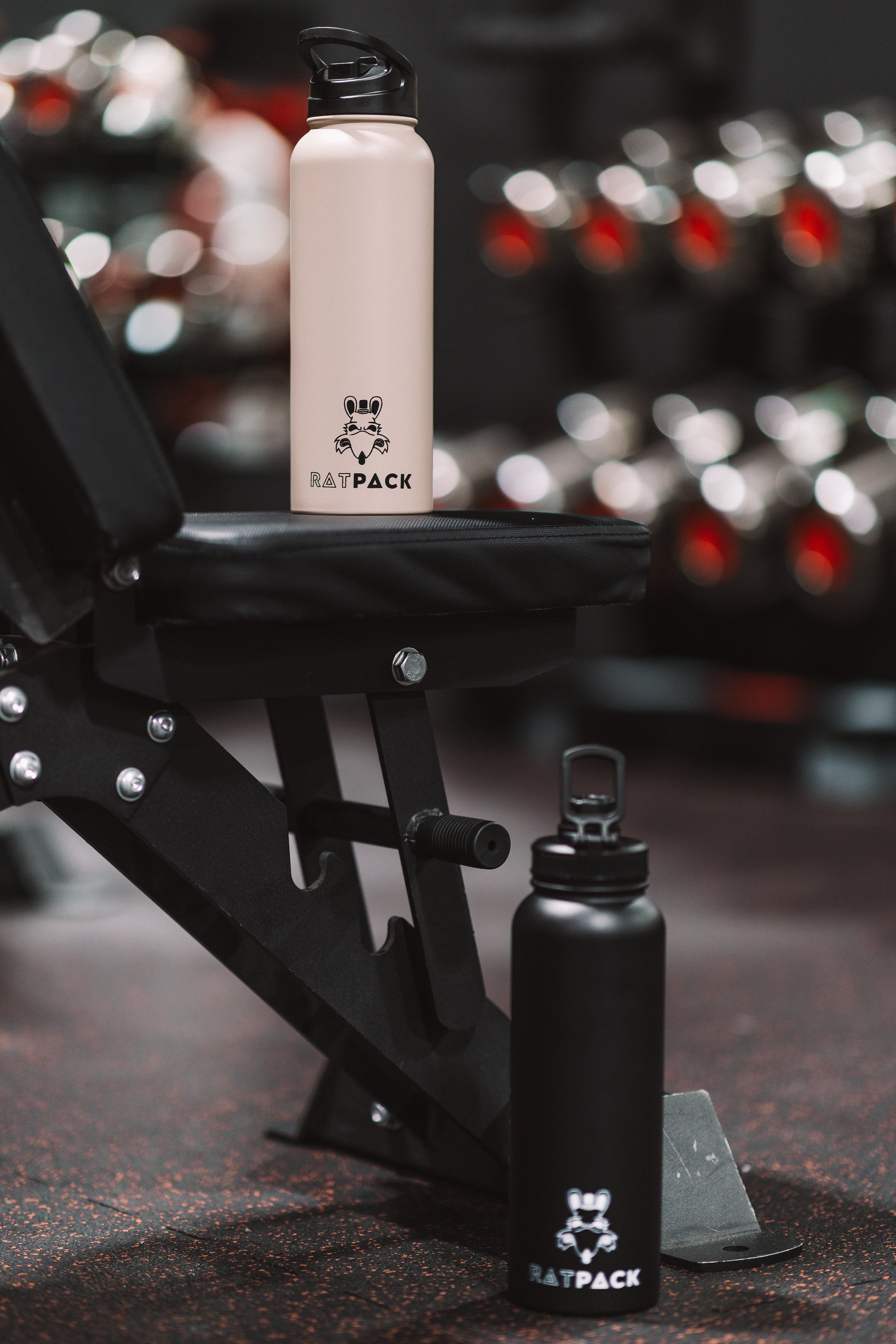 40 oz Stainless Steel Insulated Water Bottle
